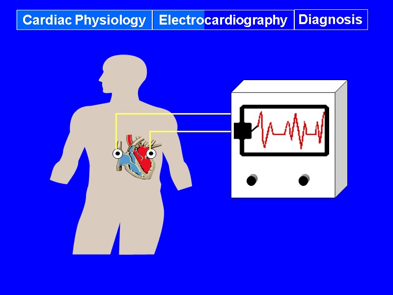Cardiac Physiology Electrocardiography Diagnosis